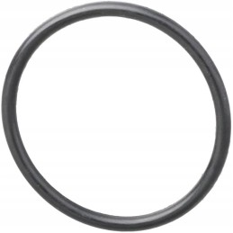 Pierscien 394975x1n kramp