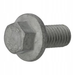 Šešiakampis varžtas