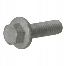 Šešiakampis varžtas