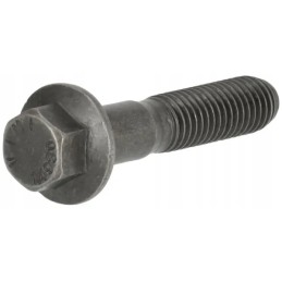 Šešiakampis varžtas