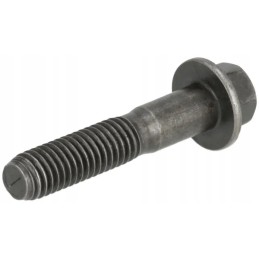 Šešiakampis varžtas