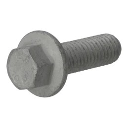 Šešiakampis varžtas