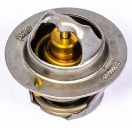 Termostatas 145206182 kramp