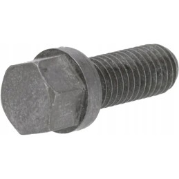 Šešiakampis varžtas