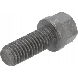 Šešiakampis varžtas