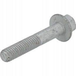 Šešiakampis varžtas