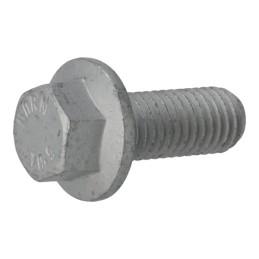 Šešiakampis varžtas