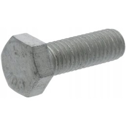 Šešiakampis varžtas