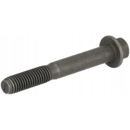 Šešiakampis varžtas