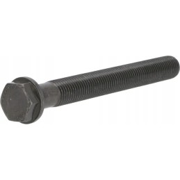 Šešiakampis varžtas