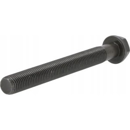 Šešiakampis varžtas