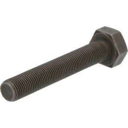 Šešiakampis varžtas