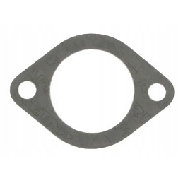 Termostato tarpiklis cnh