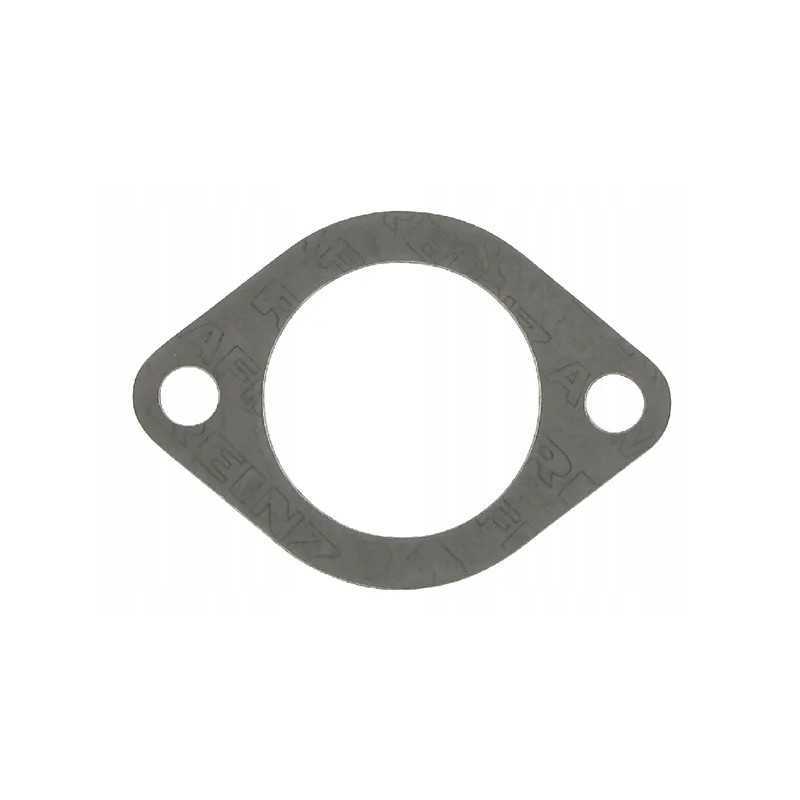 Termostato tarpiklis cnh