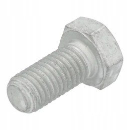 Šešiakampis varžtas