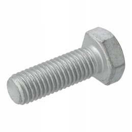 Šešiakampis varžtas