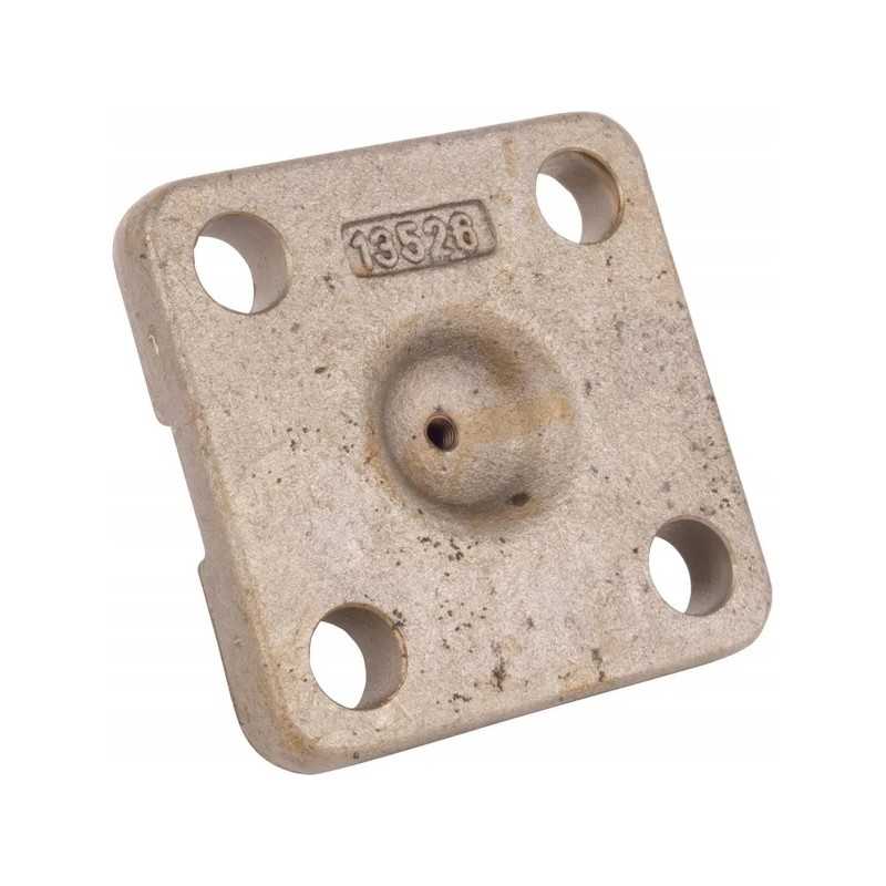 Smeigtukų kaltiniai