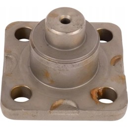 Smeigtukų kaltiniai