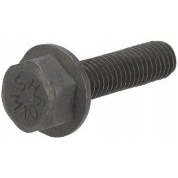 Šešiakampis varžtas