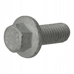 Šešiakampis varžtas