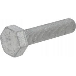 Šešiakampis varžtas