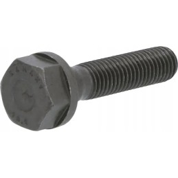 Šešiakampis varžtas