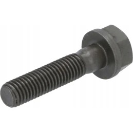 Šešiakampis varžtas