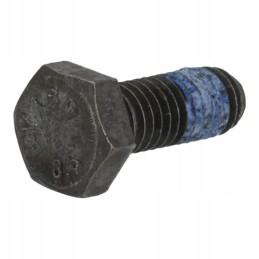 Šešiakampis varžtas