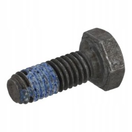 Šešiakampis varžtas