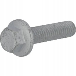 Šešiakampis varžtas