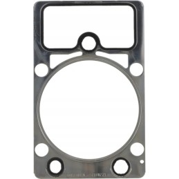 Variklio galvutės tarpinė