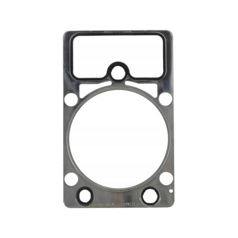 Variklio galvutės tarpinė