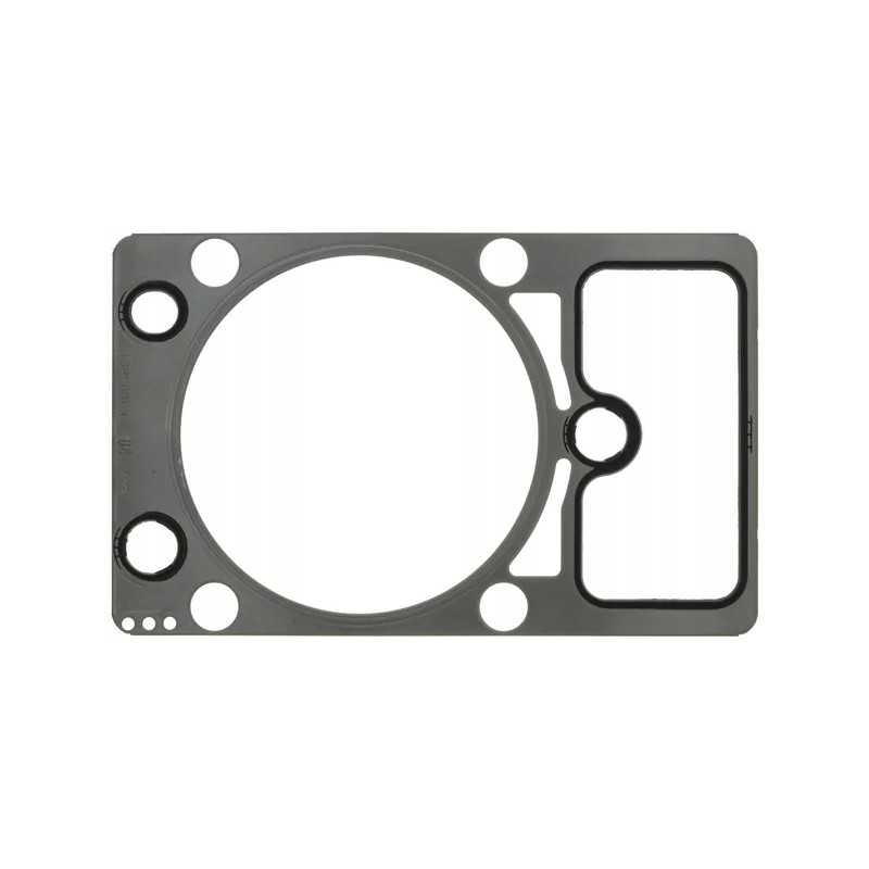 Variklio galvutės tarpinė