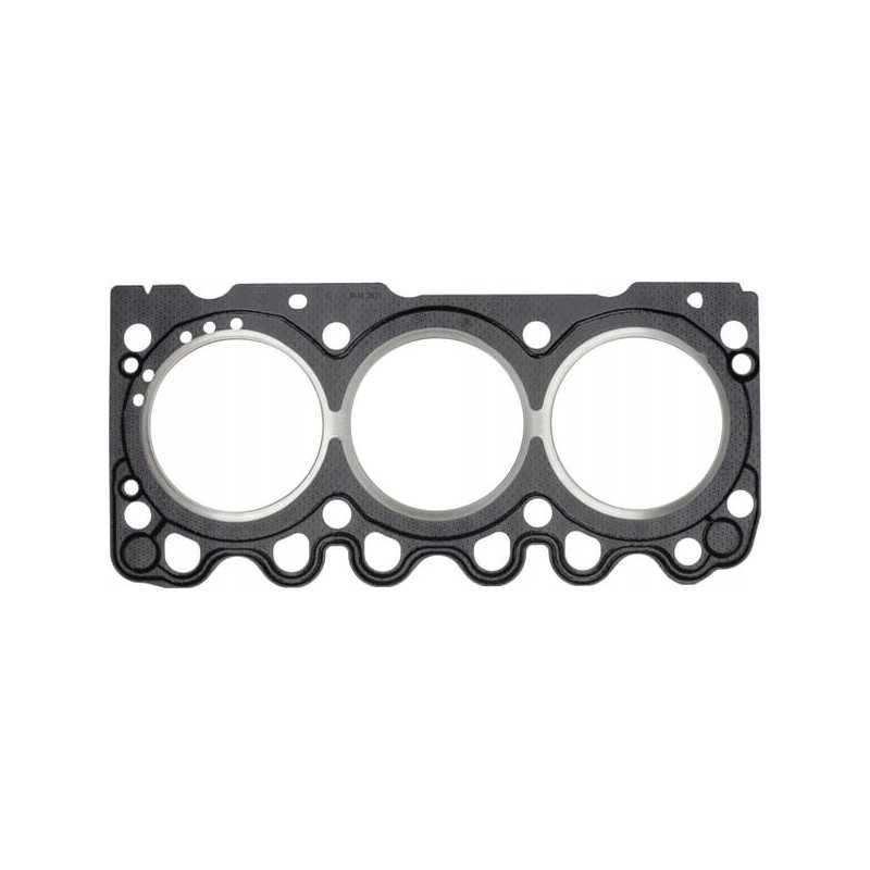 Variklio galvutės tarpinė