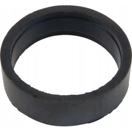 Termostato tarpiklis cnh