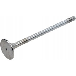 Išmetimo vožtuvas 4514451