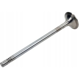 Išmetimo vožtuvas 4514451