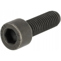 Cilindrinės galvutės varžtas