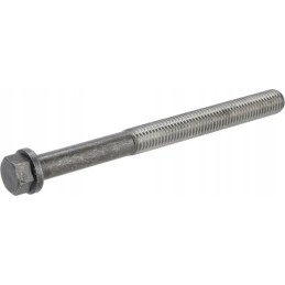 Lizdo galvutės varžtas