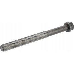 Lizdo galvutės varžtas