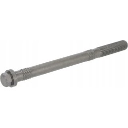 Lizdo galvutės varžtas