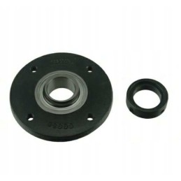 Korpusas su guoliu 629193