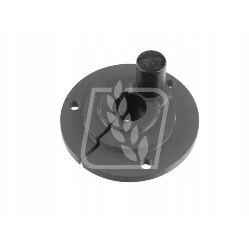 Nepaisant sieto pavaros centro, liko 600791