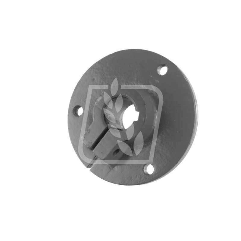 Nepaisant sieto pavaros centro, liko 600791