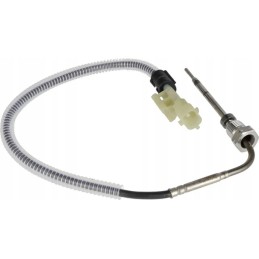 Temperatūros jutiklis