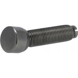 Reguliavimo varžtas