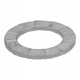 Plokščia poveržlė