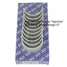 Pagrindinių guolių komplektas n125 5, bimetalinis pjūvis