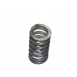 Spyruoklė 5040250310 bison motogeneric