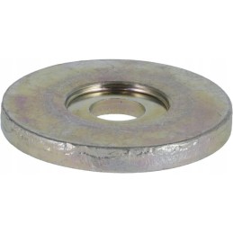 Plokščia poveržlė